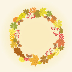 A wreath of autumn leaves of maple, chestnut, oak, acorns and rowan. 