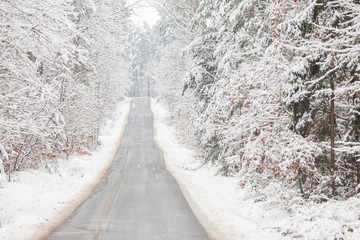 Obraz premium Road through winter forest