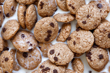 Background of chocolate chip cookies cereal in milk from above.