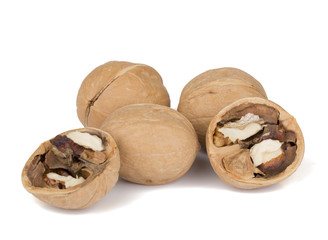 Close-up of Walnut  on the white background