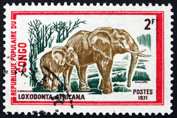 Postage stamp Congo 1972 African Elephants, Loxodonta Africana