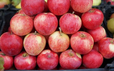 Fototapeta na wymiar красные яблоки