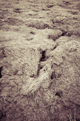 dry soil cracked earth texture vintage fillter