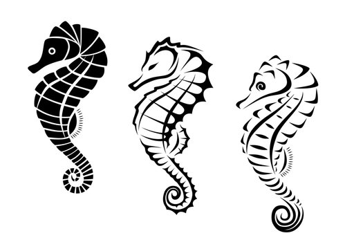 American Traditional Seahorse Tattoo Sublimation PNG File