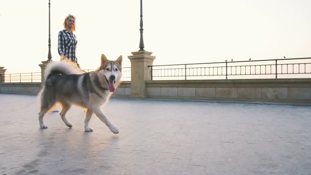 Young female walking with siberian husky dog on sea front at sunrise, slow motion