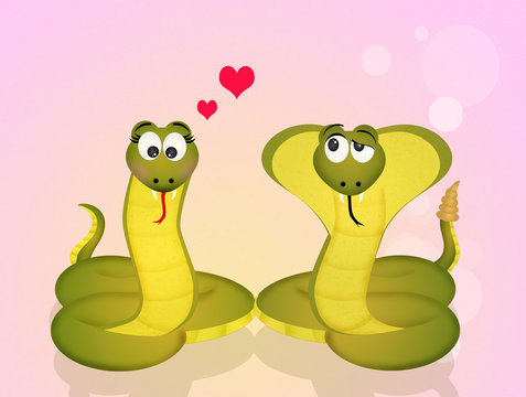 snakes couple in love