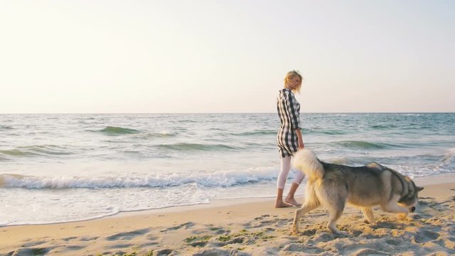 Young female running and playing with siberian husky dog on the beach at sunrise,slow motion