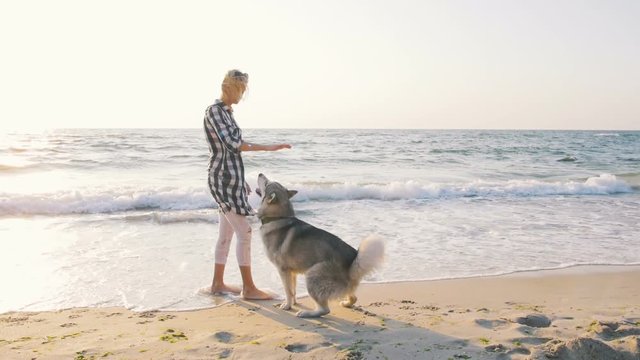 Young female playing with siberian husky dog on the beach at sunrise,slow motion
