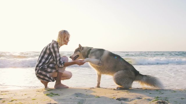 Young female playing and training with siberian husky dog on the beach at sunrise,slow motion