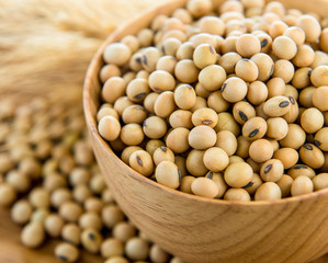 Soy beans in wood bowl