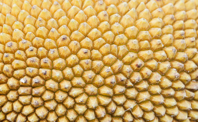 Close up Yellow Jackfruit wallpaper texture