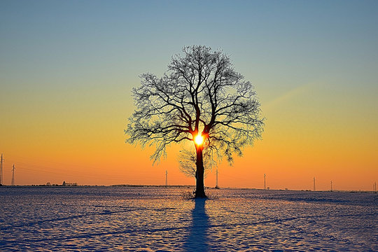 Sunset on the fields of Slavonia, on a beautiful winter idyll.
