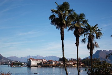 Palms at Lake Maggiore view to Isola Bella from Stresa, Piedmont Italy

--------------------------------------------------------------------------------
