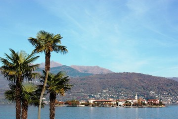 Fototapeta na wymiar Palms at Lake Maggiore view to Isola Pescatori, Piedmont Italy