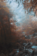 Wasserfall in Mellau