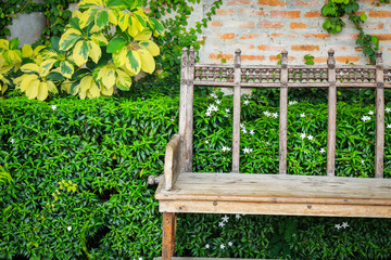 Garden Bench at blick wall and green leaf