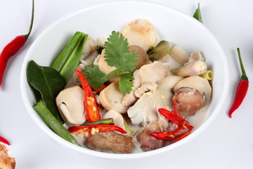Close up focus of chicken and galangal in coconut milk soup and herb on white background. 