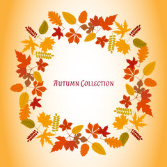 Autumn leaves frame. Vector illustration. Floral abstract pattern. Fashion Graphic Design. Symbol of autumn, eco and natural. Bright colors leaves. Template for card, banner, wrapping and decoration.