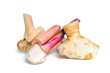 Galangal isolated on the white background