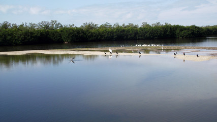 J.N. "Ding" Darling National Wildlife Refuge, Florida (USA)