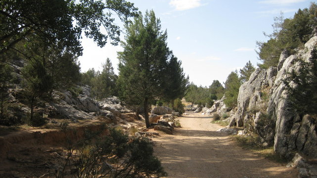 Paisajes de monta&ntilde;a.
