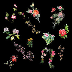 watercolor painting of leaves and flower, on black background