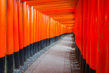 Thousands of vermilion torii gates at Kyoto Fushimi Inari Shrine