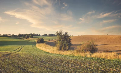 Rolgordijnen rural landscape, color retro, vintage © Mike Mareen