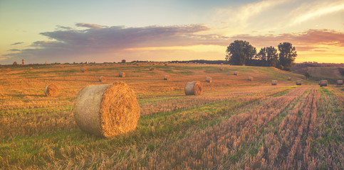 rural landscape, color retro, vintage