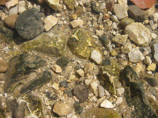 Fondo de un río. 