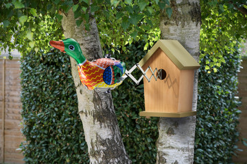 Tin Toy Duck coming out of Bird House