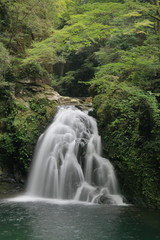 Fototapeta na wymiar Akame(Red-Eye) 48 waterfalls valley Mie pre. Japan