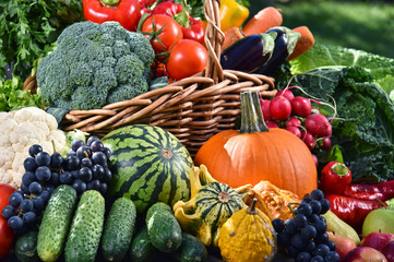 Variety of fresh organic vegetables and fruits in the garden