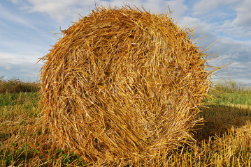 Golden hay bale on sky background