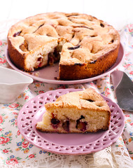 Plum sponge cake slice on plate