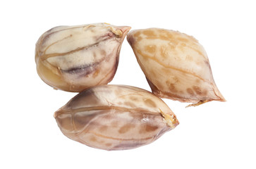 Closeup of three brown boil peanut on white background