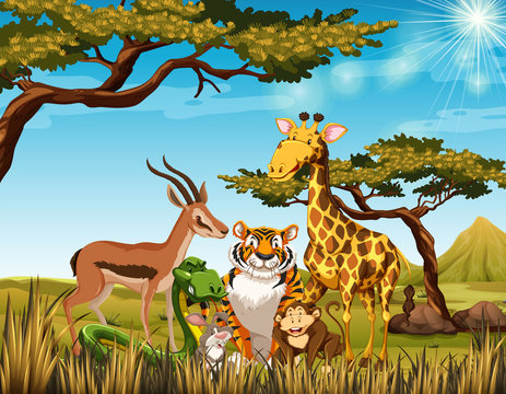 Wild animals in the savanna field