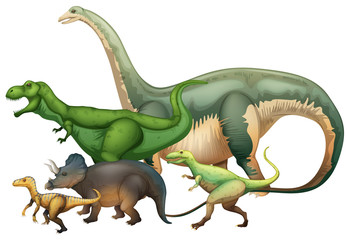 Many dinosaurs on white background
