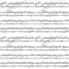 Music sheet on white, seamless pattern