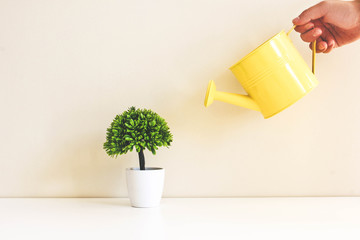 Man watering a green tree yellow watering can