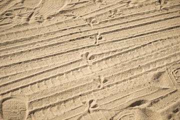 Tire tracks, people and birds in the sand