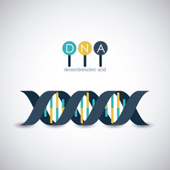 Dna structure chromosome icon. Science molecule genetic and biology theme. Isolated design. Vector illustration