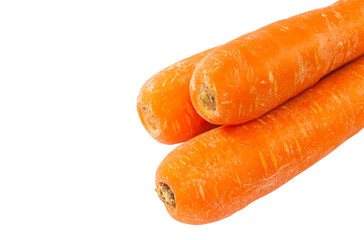 Closeup Three orange Carrot vegetable on white background