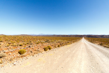 Fototapeta na wymiar Dirt Road leading to the end
