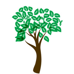 Obraz premium green tree on a white background. vector