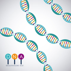 Dna structure chromosome icon. Science molecule genetic and biology theme. Isolated design. Vector illustration