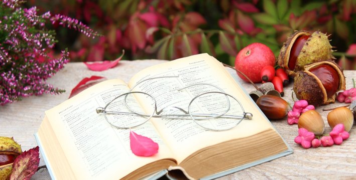 lesen im herbst