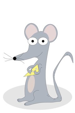 Mouse with swiss cheese