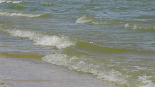 Прибрежные волны/ Прибрежные волны Азовского моря в жаркий летний день