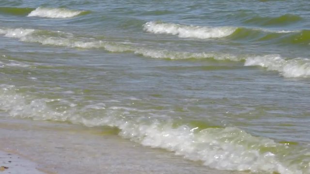 Прибрежные волны/ Прибрежные волны Азовского моря в жаркий летний день